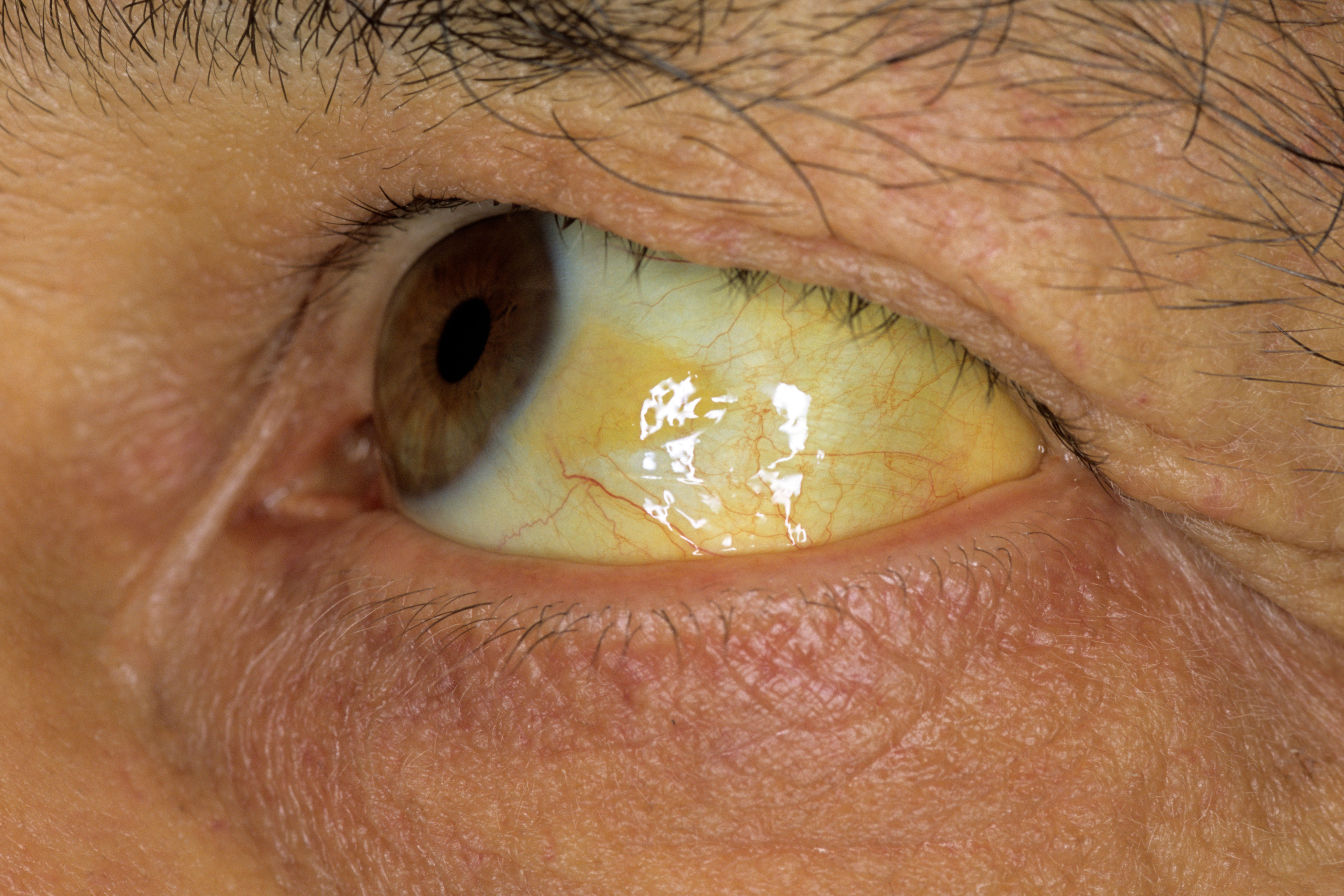 Serivce Image